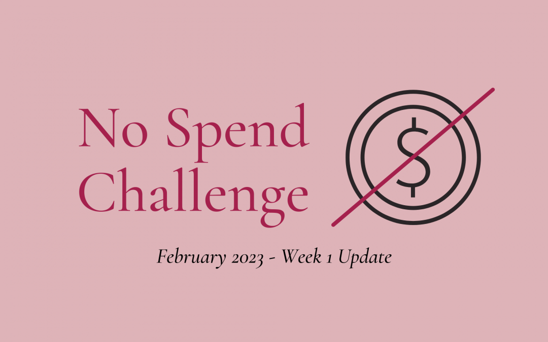 No Spend Challenge – Feb 2023 Week 1 Update